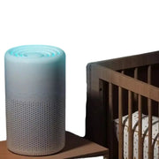 Portable Air Purifier – Blue Anion Deodorizer with Essential Oil Diffuser by Habicare