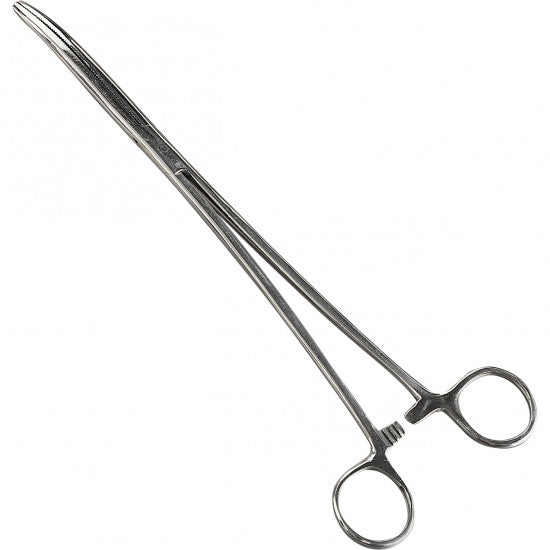 Forceps Curved Stainless Steel 25cm