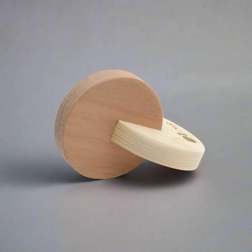 Curious Moonbeam Montessori Toy Wooden Dual Discs – QToys | Wooden Baby Toy NZ Wooden Dual Discs – QToys | Wooden Baby Toy NZ