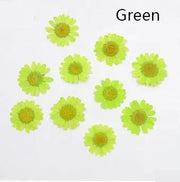 Real Dried Flower - Chrysanthemum by Resin Art NZ