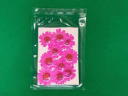 Real Dried Flower - Chrysanthemum by Resin Art NZ