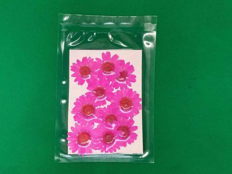 Real Dried Flower - Chrysanthemum by Resin Art NZ