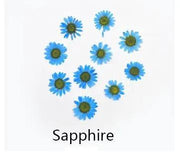 Real Dried Flower - Chrysanthemum by Resin Art NZ