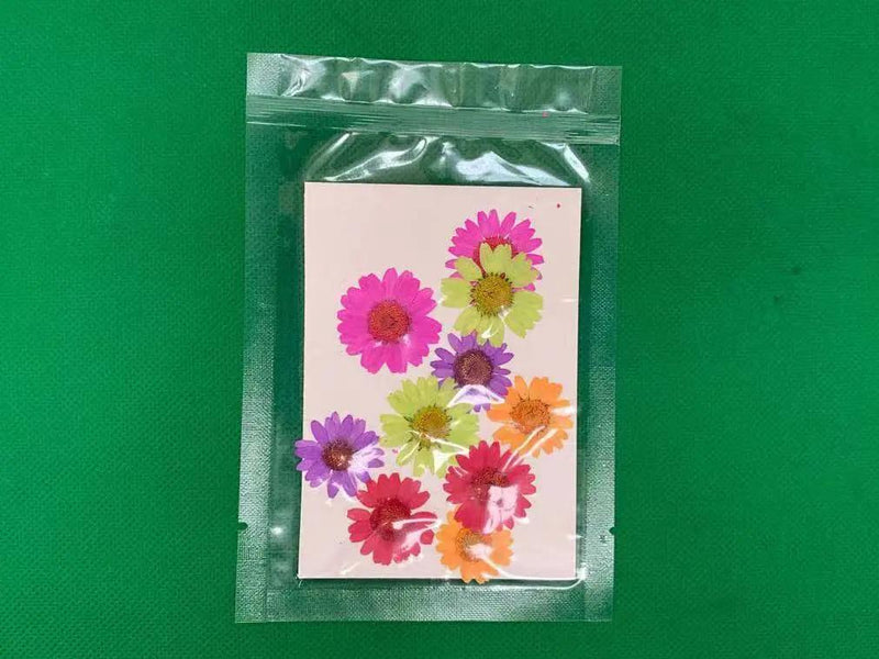 Real Dried Flower - Chrysanthemum by Resin Art NZ