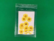 Real Dried Flower - Chrysanthemum by Resin Art NZ