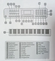 61 Key Keyboard Piano with Stand Suitable for Children by salelink.co.nz