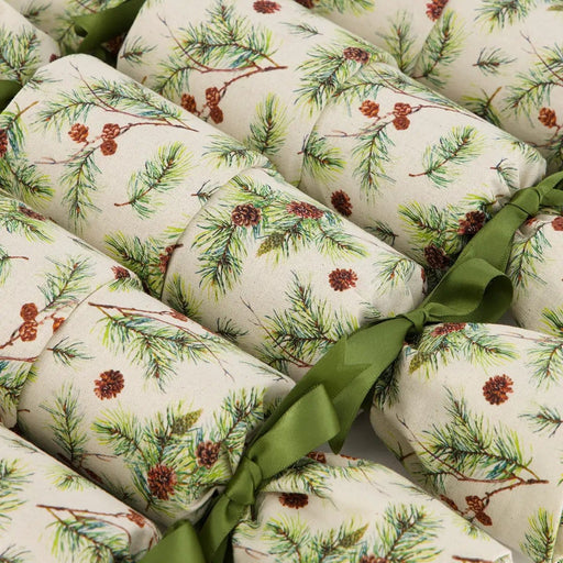 Waste Free Celebrations Christmas Crackers Giuthas na Nollaige (6 Reusable Crackers) Giuthas na Nollaige (6 Reusable Crackers)