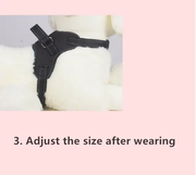 Dog Harness Pet Puppy Large Dog Vest Adjustable Pad M Size by salelink.co.nz