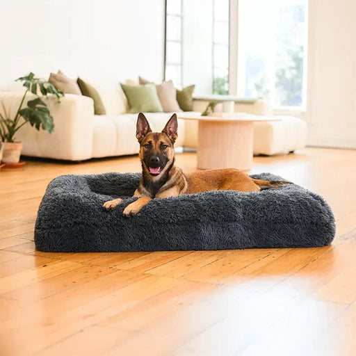 Brooklyn® Memory Foam Bolster Bed by The Brooklyn