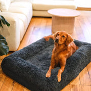 Brooklyn® Memory Foam Bolster Bed by The Brooklyn