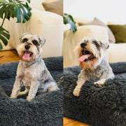 Brooklyn® Memory Foam Bolster Bed by The Brooklyn