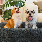 Brooklyn® Memory Foam Bolster Bed by The Brooklyn