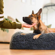 Brooklyn® Memory Foam Bolster Bed by The Brooklyn