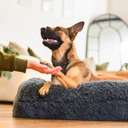 Brooklyn® Memory Foam Bolster Bed by The Brooklyn