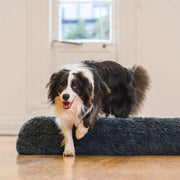 Brooklyn® Memory Foam Bolster Bed by The Brooklyn