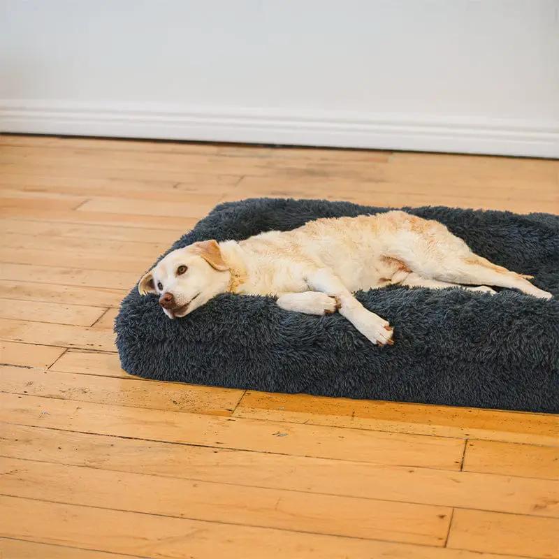 Brooklyn® Memory Foam Bolster Bed by The Brooklyn