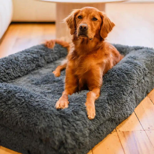 Brooklyn® Memory Foam Bolster Bed by The Brooklyn