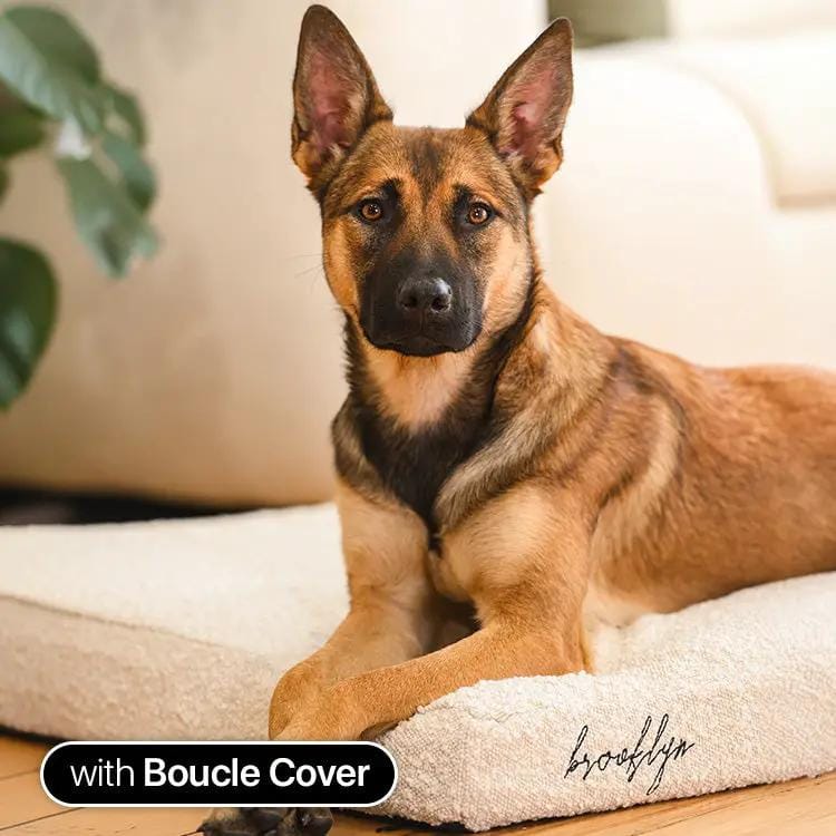 Brooklyn® Ultra Memory Foam Bed by The Brooklyn