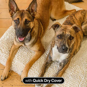 Brooklyn® Ultra Memory Foam Bed by The Brooklyn