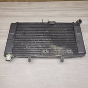 GSF250 Bandit (GJ74A) Radiator by Motor Morgue