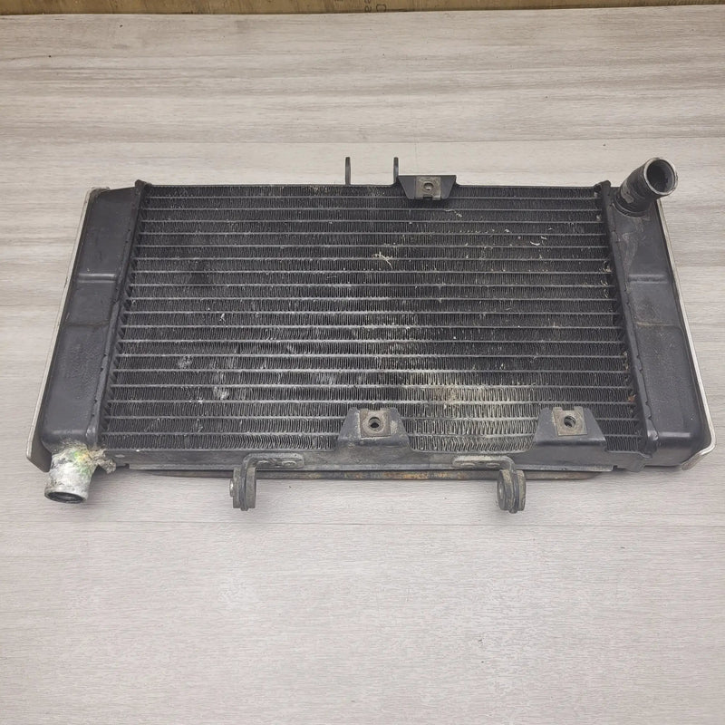 GSF250 Bandit (GJ74A) Radiator by Motor Morgue
