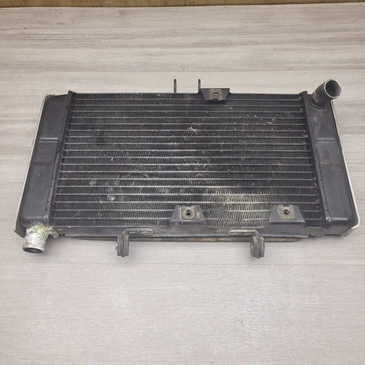 GSF250 Bandit (GJ74A) Radiator by Motor Morgue