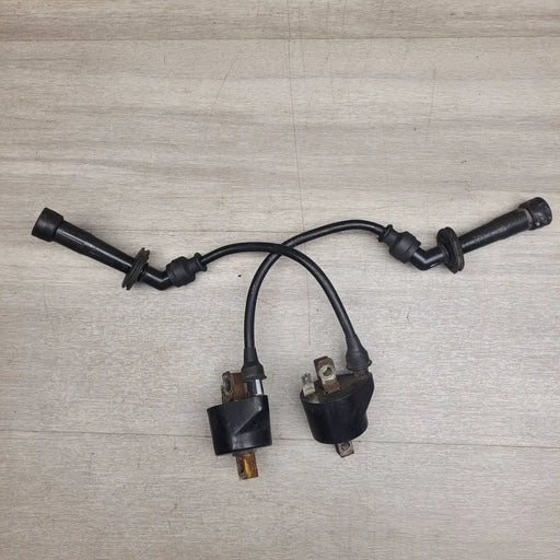 GSX250 Invader Coils by Motor Morgue