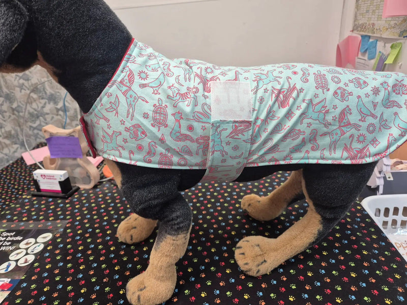 Animal Addiction Limited Dog Coats Mint Safari Dog Sleeper Coat – Lightweight Cotton & Fleece Mint Safari Dog Sleeper Coat – Lightweight Cotton & Fleece