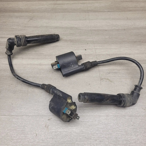 EX250 Ninja Coils and Leads by Motor Morgue