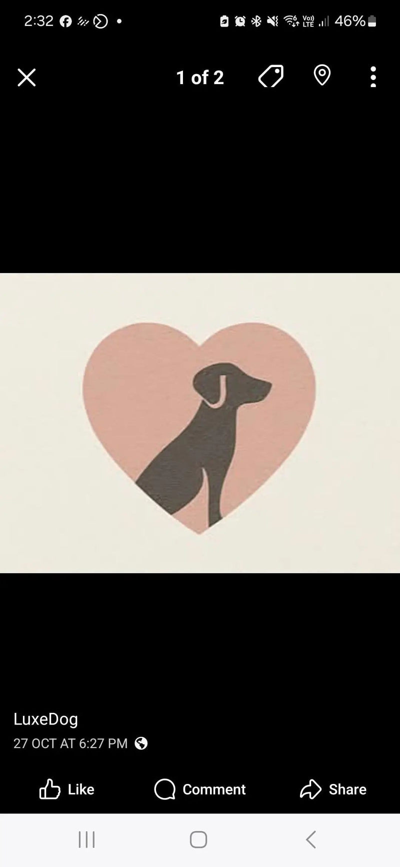 Animal Addiction Limited Dog Jacket LuxeDog - L'Amour Edition - 45cm LuxeDog - L'Amour Edition - 45cm