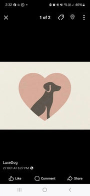 Animal Addiction Limited Dog Jacket LuxeDog - L'Amour Edition - 25cm LuxeDog - L'Amour Edition - 25cm