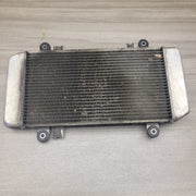 EX250 Ninja Radiator by Motor Morgue