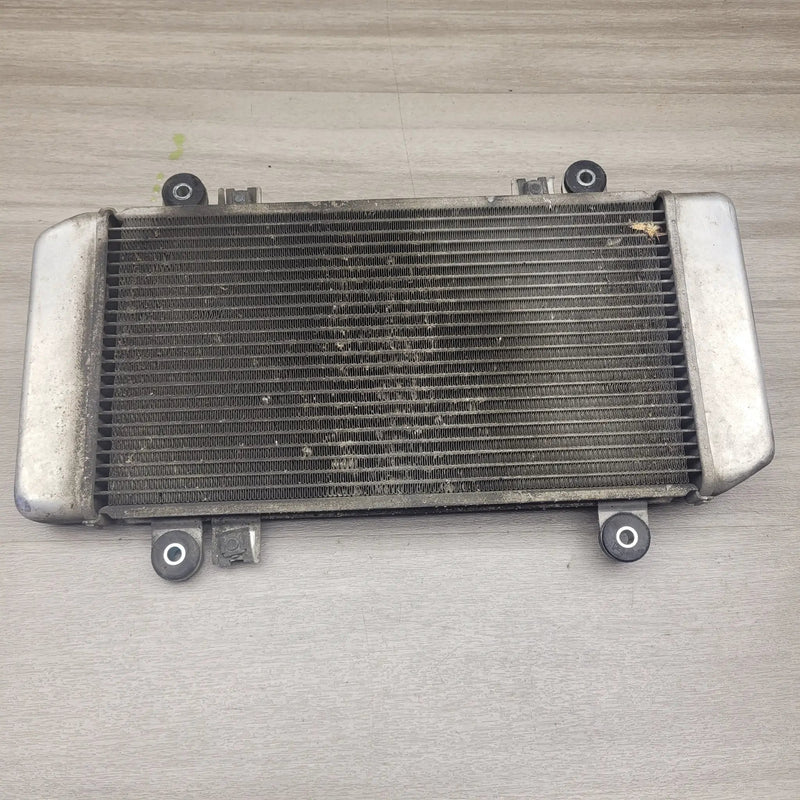 EX250 Ninja Radiator by Motor Morgue