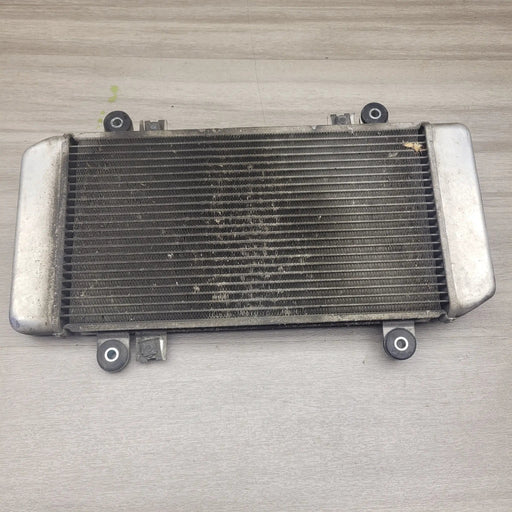 EX250 Ninja Radiator by Motor Morgue