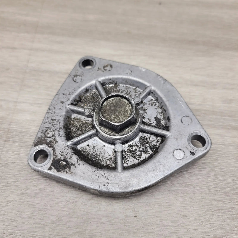 GT250R EFI Lower engine plate by Motor Morgue