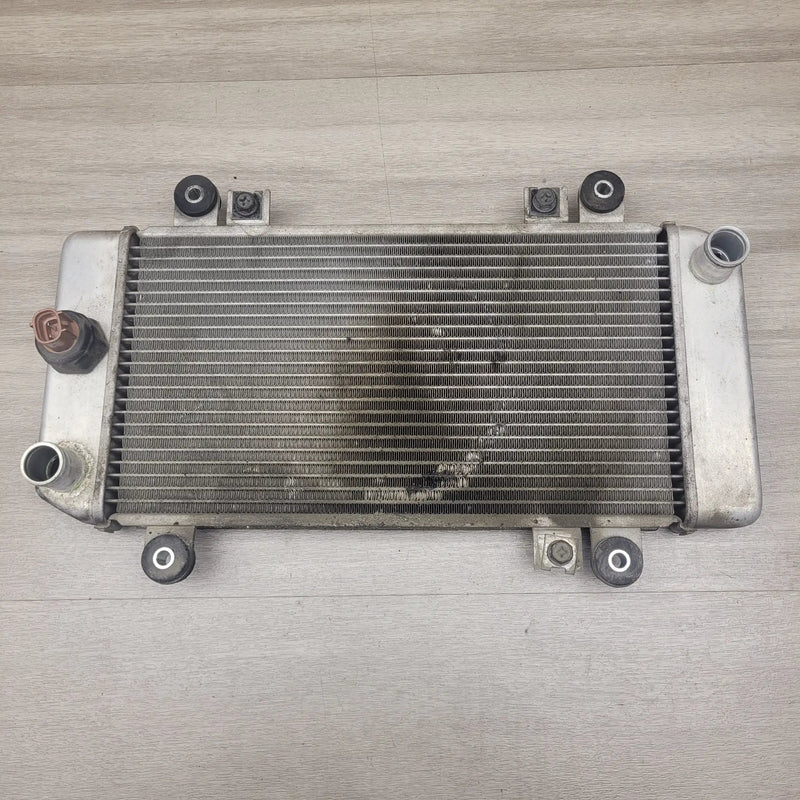 EX250 Ninja Radiator by Motor Morgue