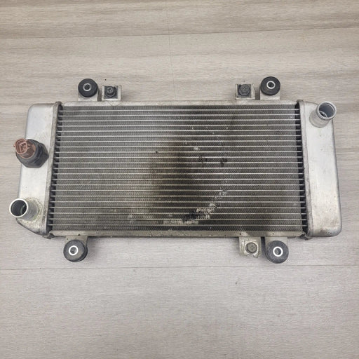 EX250 Ninja Radiator by Motor Morgue
