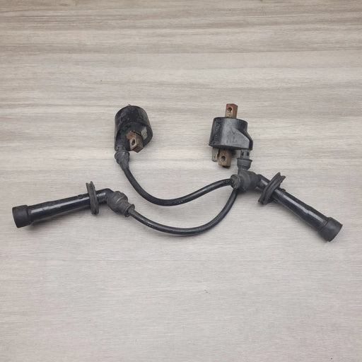 GSX250 Invader Coils by Motor Morgue