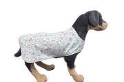 Animal Addiction Limited Dog Coats Mint Safari Dog Sleeper Coat – Lightweight Cotton & Fleece Mint Safari Dog Sleeper Coat – Lightweight Cotton & Fleece