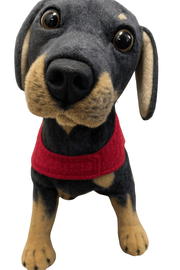 Animal Addiction Limited Dog Jacket LuxeDog - L'Amour Edition - 40cm LuxeDog - L'Amour Edition - 40cm