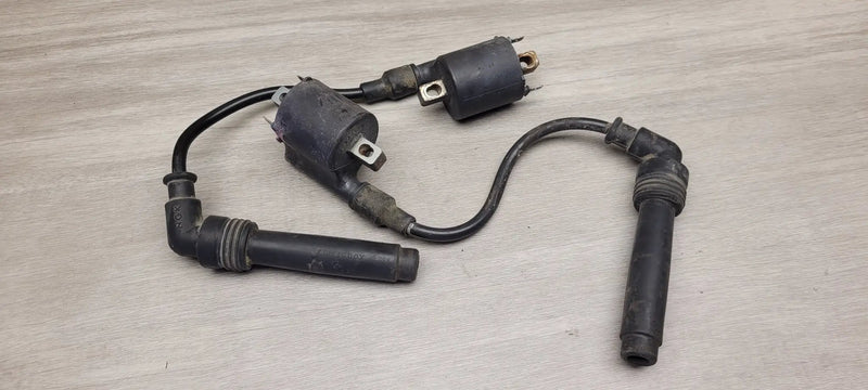 EX250 Ninja coils and leads by Motor Morgue