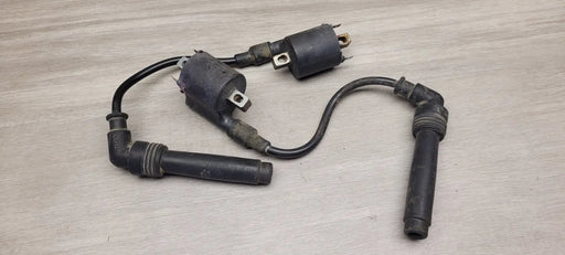 EX250 Ninja coils and leads by Motor Morgue