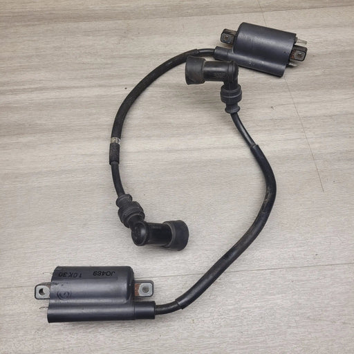 VL250 Intruder Coils by Motor Morgue