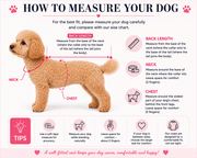 Animal Addiction Limited Dog Clothing Red Check Sleeper Coat Red Check Sleeper Coat