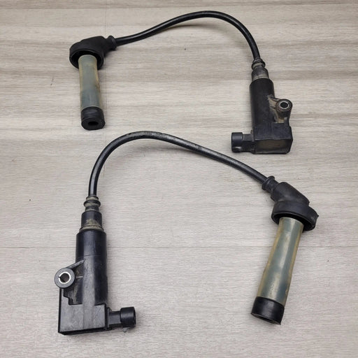 GT250R EFI Coils by Motor Morgue