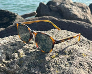 TANG/Tortoise Green by URBA VISTA