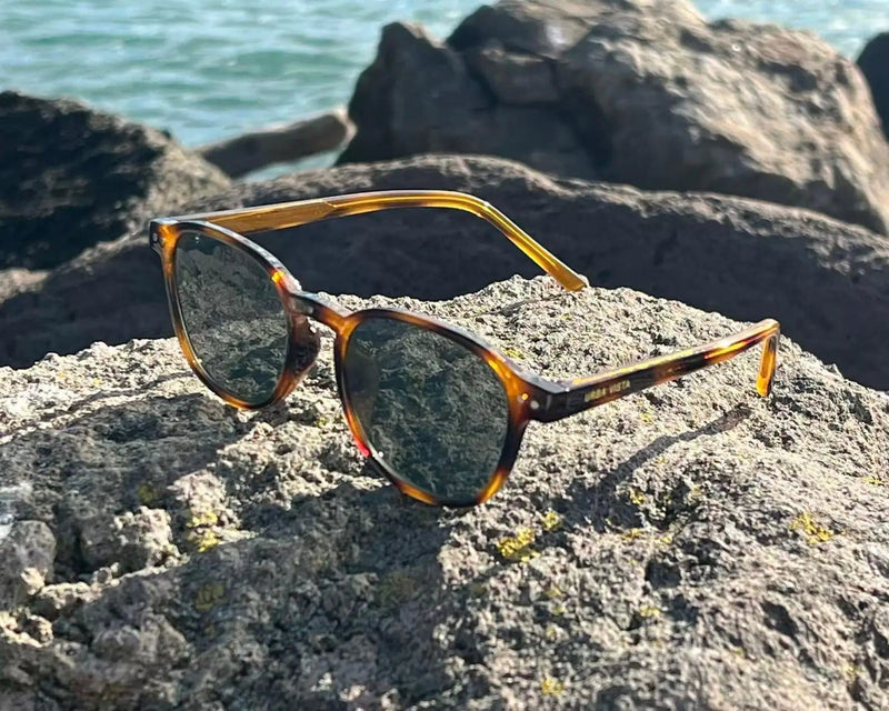 TANG/Tortoise Green by URBA VISTA