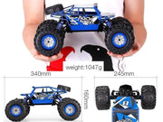 2.4G 4WD Amphibious Crawler RC Buggy Car by dealonline.co.nz