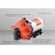 SEAFLO 70PSI Deck Washdown Pump Kit for Boat Caravan Yacht Wash Pump 12V 5GPM by salelink.co.nz