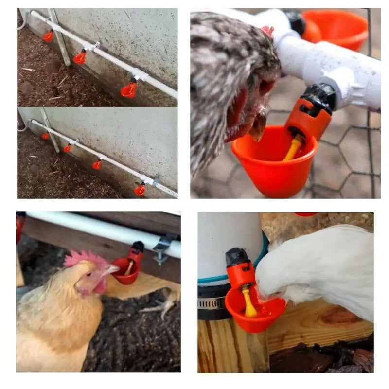 Automatic Cups Water Feeder Drinker Chicken Waterer Poultry Chook Bird by salelink.co.nz